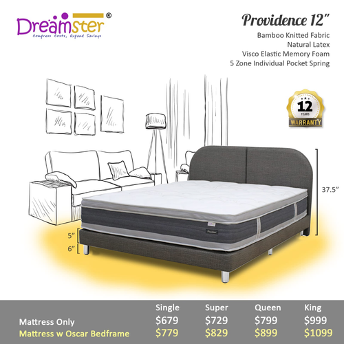 Dreamster Providence Latex + Memory Foam Euro Top Individual Pocketed Spring Mattress Bundle