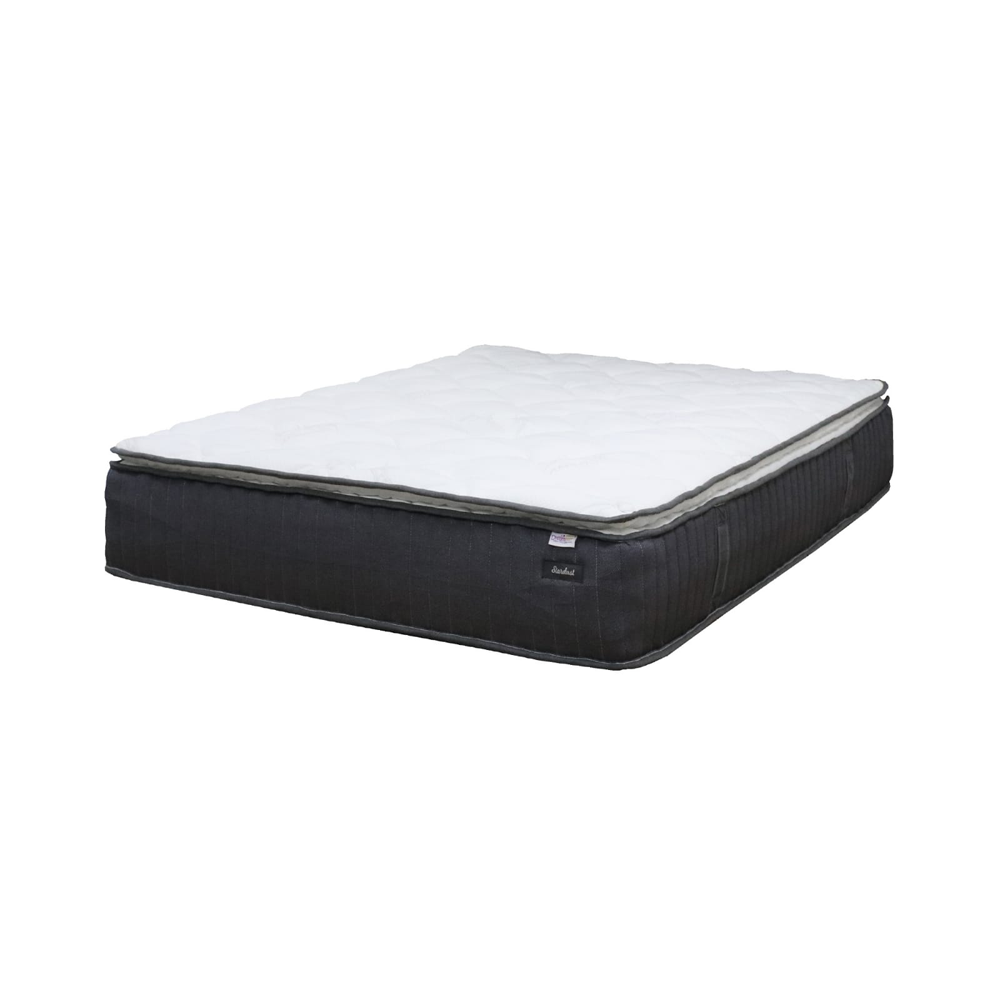 Dreamster Stardust Natural Latex Pillow Top Pocketed Spring Mattress